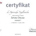 Powiększ obraz: certificate 24