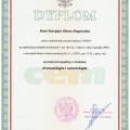 Powiększ obraz: certificate 2