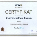 Powiększ obraz: certificate 2