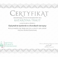 Powiększ obraz: certificate 1
