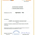 Powiększ obraz: certificate 2