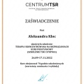 Powiększ obraz: certificate 1