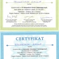 Powiększ obraz: certificate 79