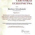 Powiększ obraz: certificate 14