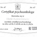 Powiększ obraz: certificate 3