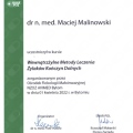 Powiększ obraz: certificate 1