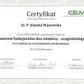 Powiększ obraz: certificate 7