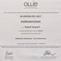 Powiększ obraz: certificate 6