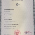 Powiększ obraz: certificate 1