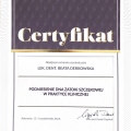 Powiększ obraz: certificate 13