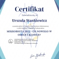 Powiększ obraz: certificate 29