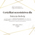 Powiększ obraz: certificate 3