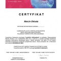 Powiększ obraz: certificate 13