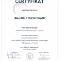 Powiększ obraz: certificate 4