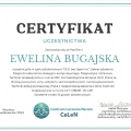 Powiększ obraz: certificate 8