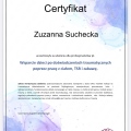Powiększ obraz: certificate 31