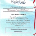 Powiększ obraz: certificate 6