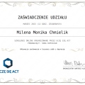 Powiększ obraz: certificate 8