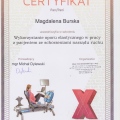 Powiększ obraz: certificate 2