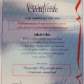 Powiększ obraz: certificate 2