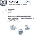 Powiększ obraz: certificate 9