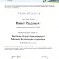 Powiększ obraz: certificate 4