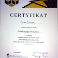 Powiększ obraz: certificate 6