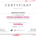 Powiększ obraz: certificate 4