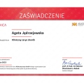 Powiększ obraz: certificate 9