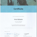 Powiększ obraz: certificate 4