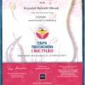 Powiększ obraz: certificate 2