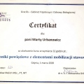 Powiększ obraz: certificate 2