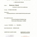 Powiększ obraz: certificate 3