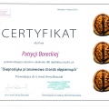 Powiększ obraz: certificate 9