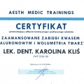 Powiększ obraz: certificate 19