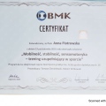 Powiększ obraz: certificate 10