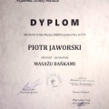 Powiększ obraz: certificate 11