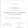 Powiększ obraz: certificate 8