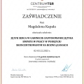 Powiększ obraz: certificate 3