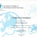 Powiększ obraz: certificate 19