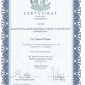 Powiększ obraz: certificate 29