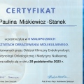 Powiększ obraz: certificate 11
