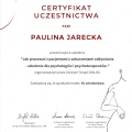 Powiększ obraz: certificate 9