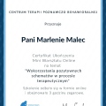 Powiększ obraz: certificate 2