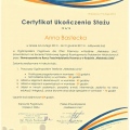 Powiększ obraz: certificate 2