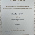 Powiększ obraz: certificate 2