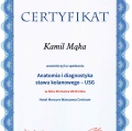 Powiększ obraz: certificate 4