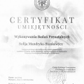 Powiększ obraz: certificate 1