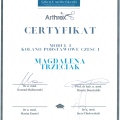 Powiększ obraz: certificate 3