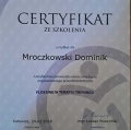 Powiększ obraz: certificate 4
